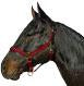 Horse And Livestock Prime - Halter Leather Crown Econ