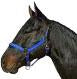 Horse And Livestock Prime - Halter Leather Crown Econ