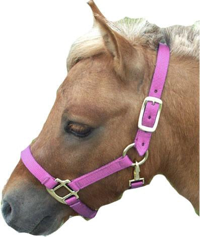 Horse And Livestock Prime - Premium Halter Chin With Snap