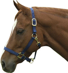 Horse And Livestock Prime - Premium Halter Chin With Snap